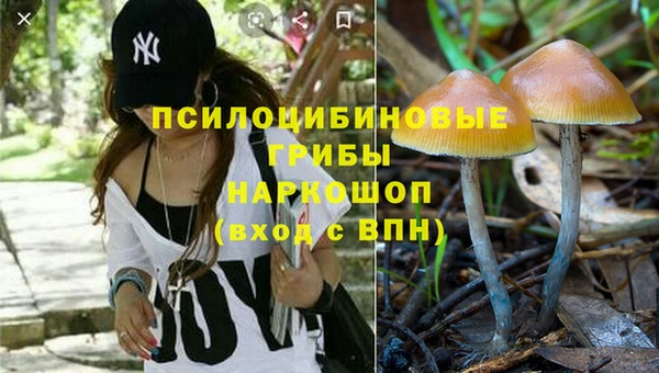дмт Белоозёрский